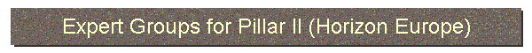 Expert Groups for Pillar II (Horizon Europe)