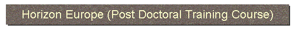 Horizon Europe (Post Doctoral Training Course)