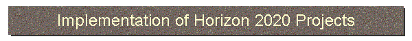 Implementation of Horizon 2020 Projects