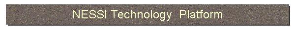 NESSI Technology  Platform